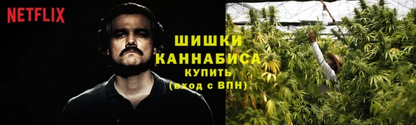 PSILOCYBIN Пролетарск